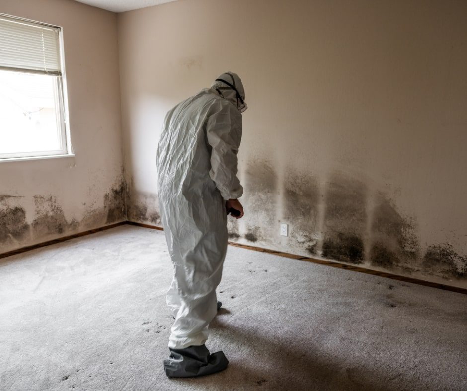 How to Prevent Mold from Coming Back