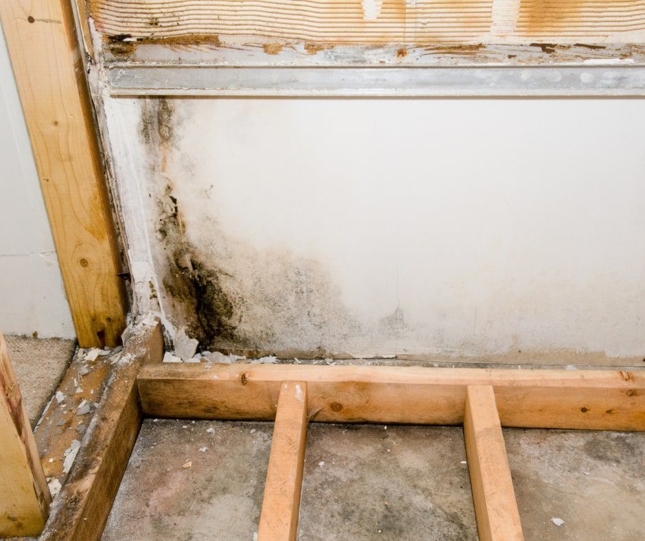 How RenoHeal Fixes the Problem for Good