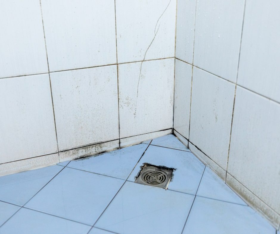 Why Professional Bathroom Care Pays Off