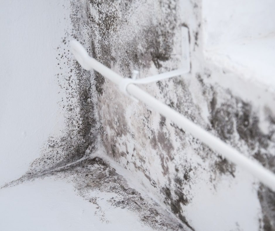 Top 5 Bathroom Mistakes That Lead to Mold and Water Damage