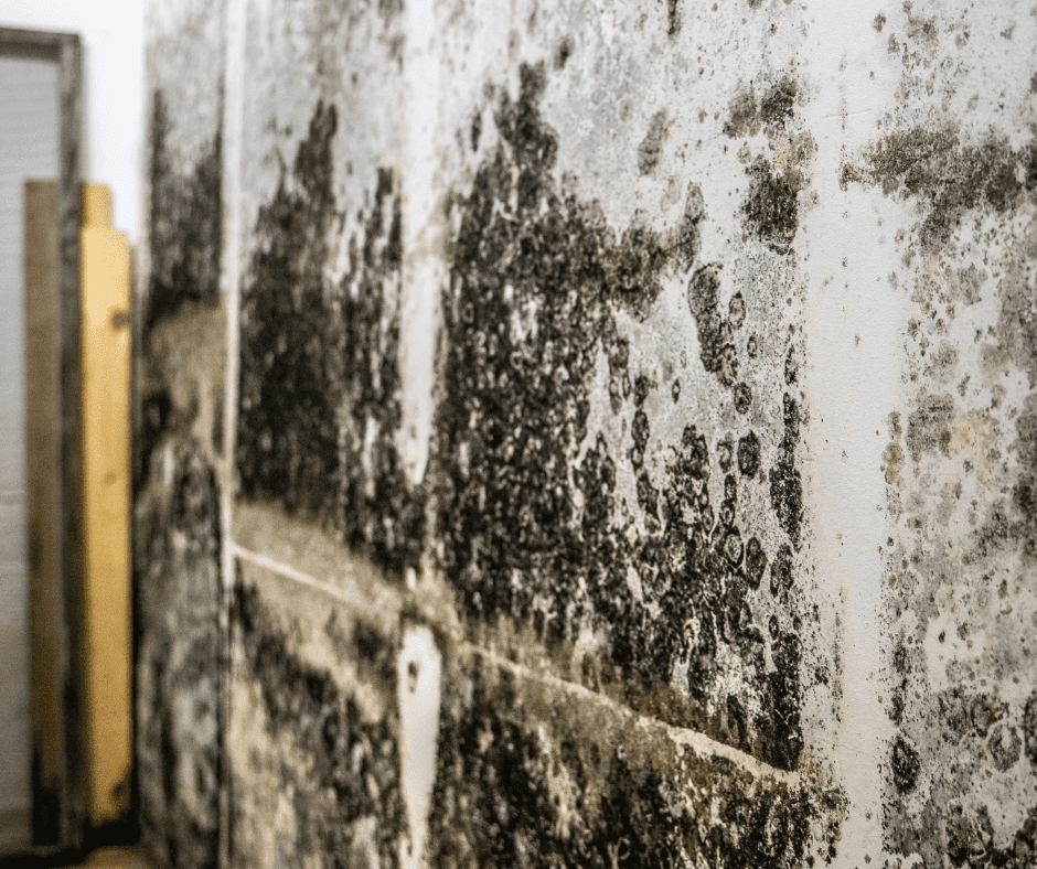 Black Line Around Your Bathtub