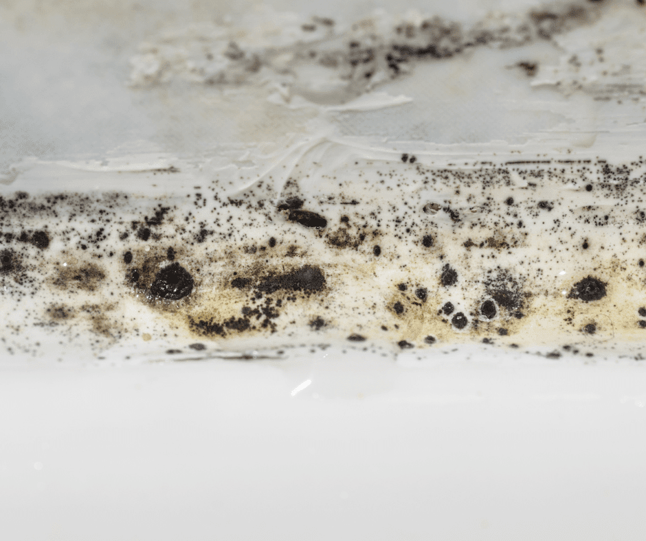 How Moisture Sneaks Behind the Caulking