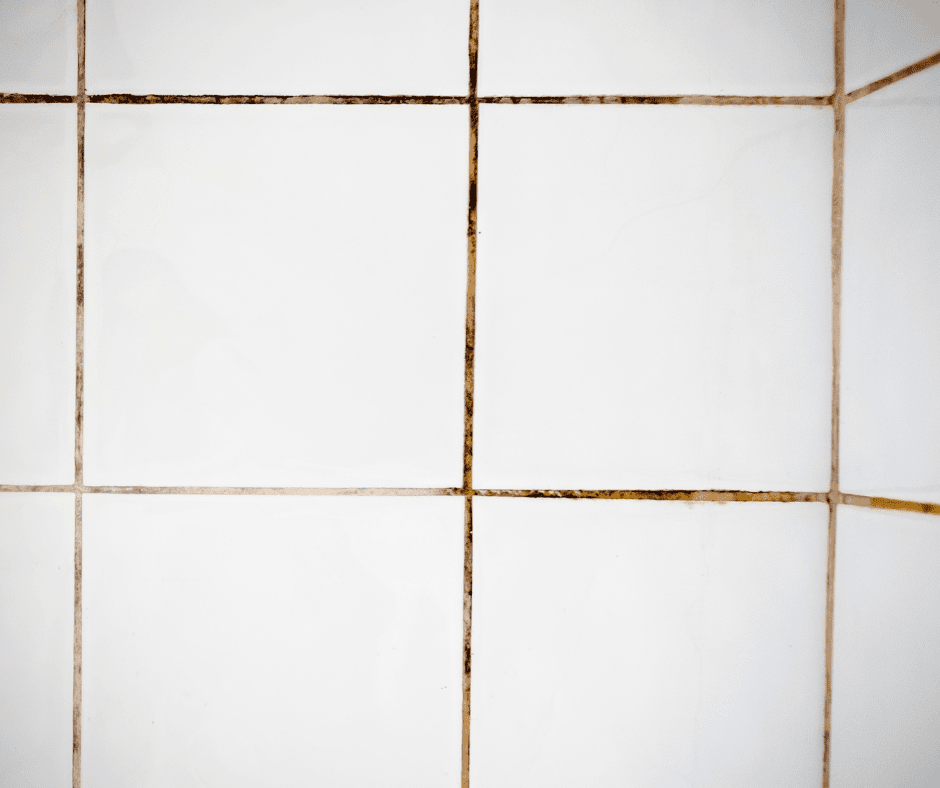 Protect Your Bathroom — and Your Investment