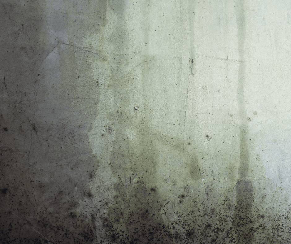 Why Cleaning Often Makes It Worse