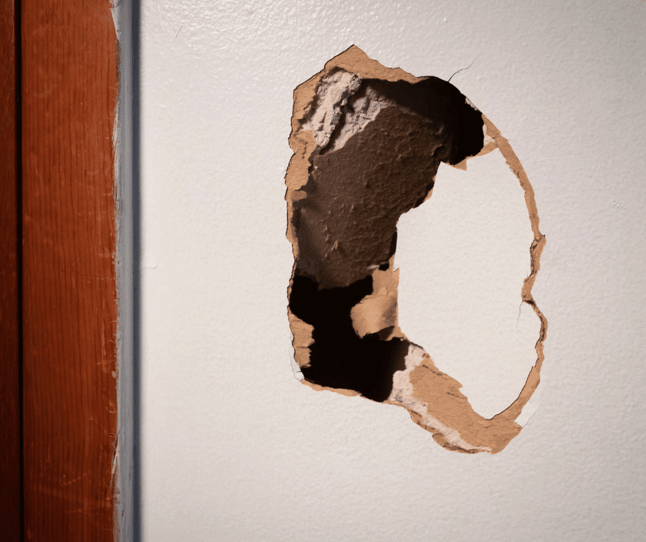 How to Read the Cracks