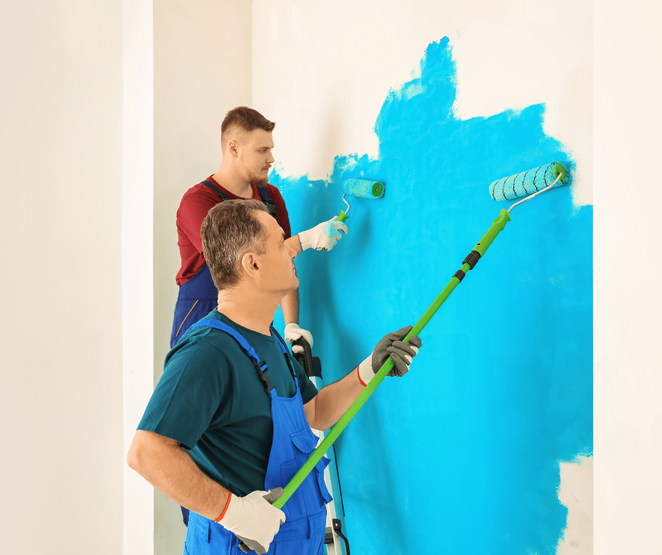 Give Your Walls a Fresh Start with RenoHeal