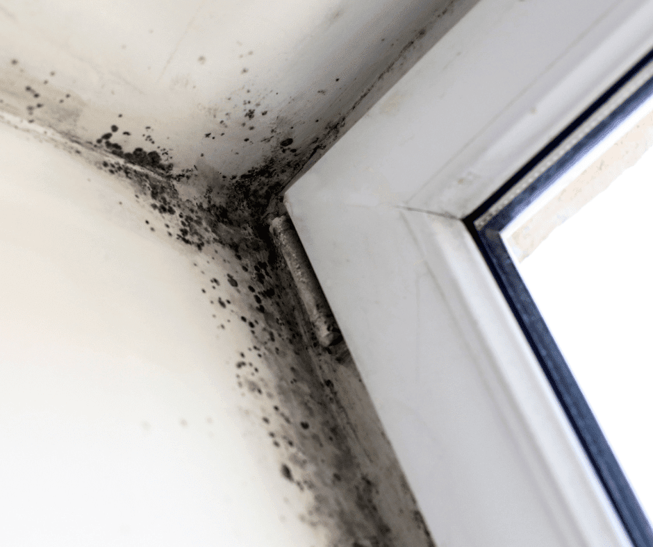 Why Your Shower Caulking Keeps Turning Black
