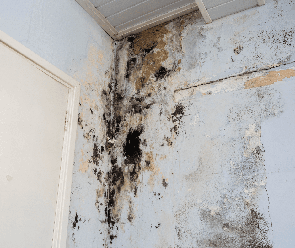 What Causes Caulking to Turn Black?