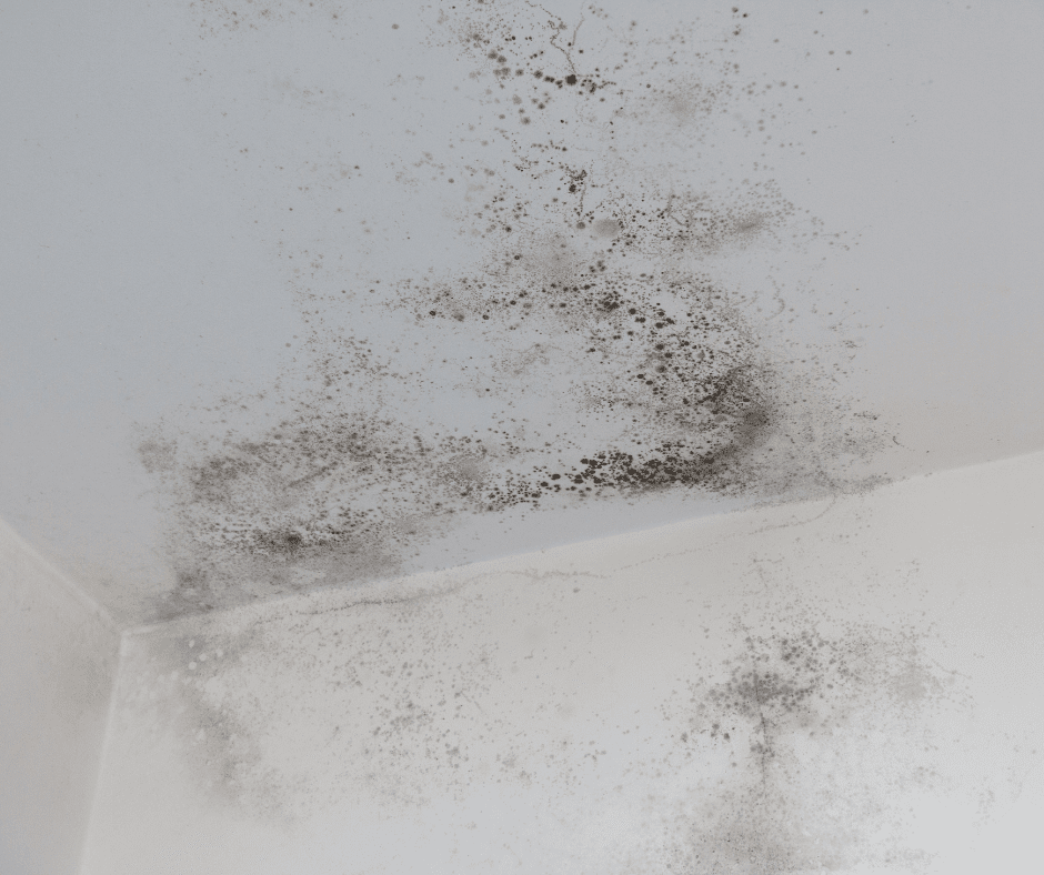 Why Professional Re-Caulking Is Worth It