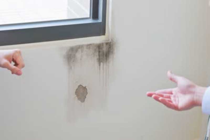 How RenoHeal Fixes Bubbling and Peeling Basement Drywall Properly