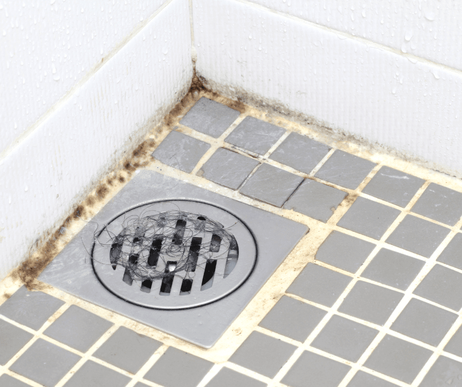 Why a Properly Installed Shower Drain Matters So Much