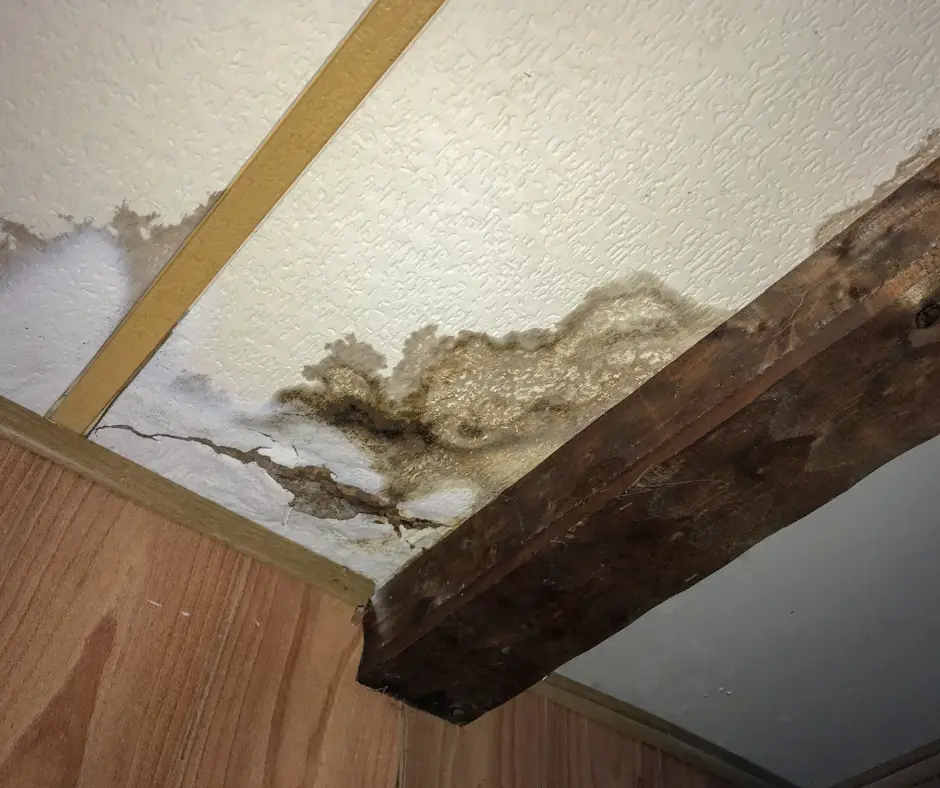 When Ceiling Cracks Signal Mold Growth