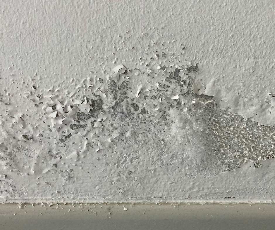 Get Professional Bathroom Ventilation Help in the GTA