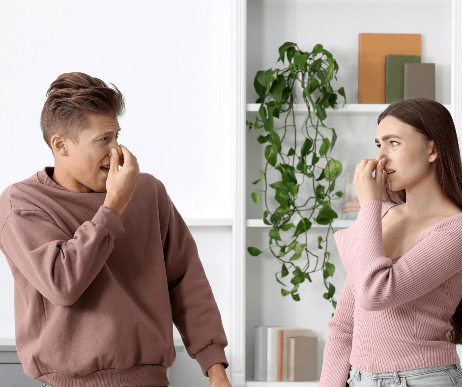 How RenoHeal Diagnoses Odor Problems in Basements