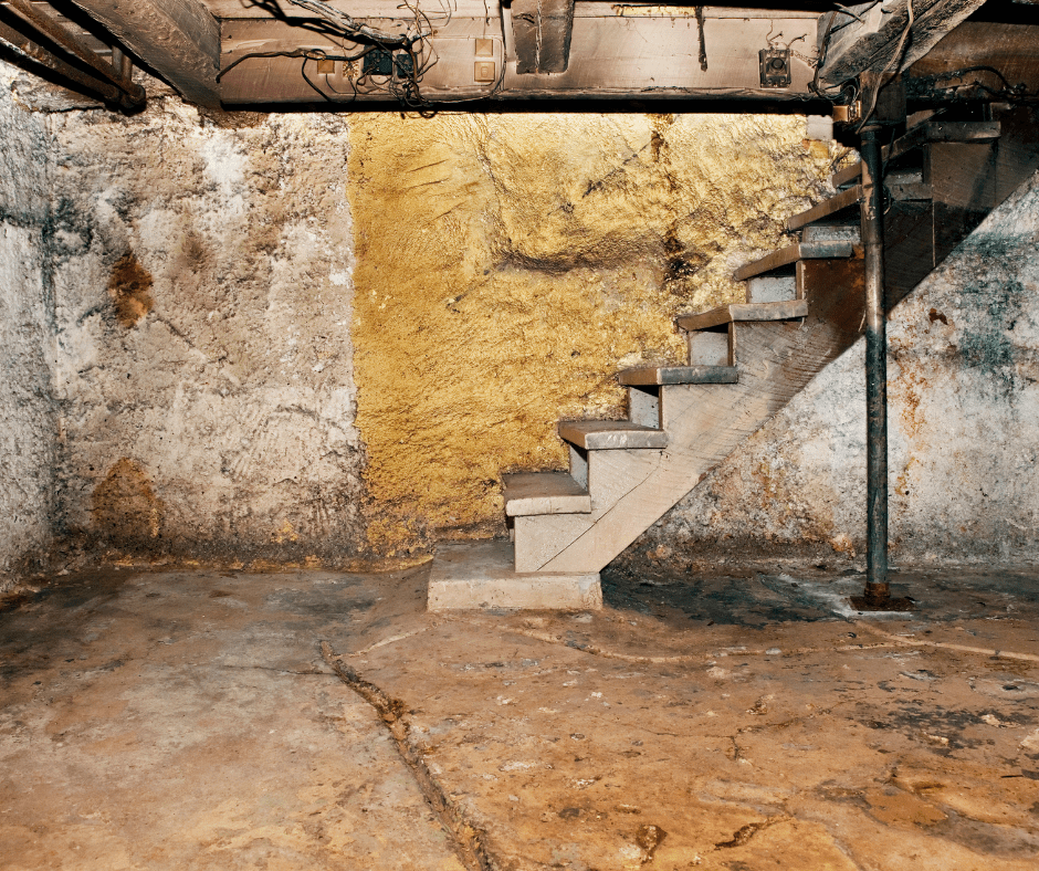 Need Basement Odor Repair in the GTA? RenoHeal Can Fix It Properly