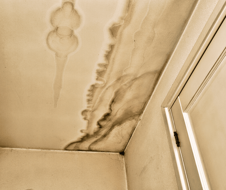 Minor Ceiling Stains