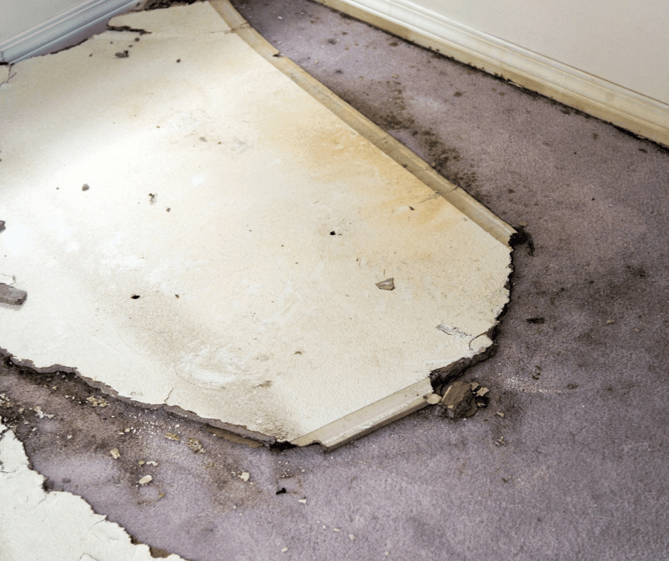 Water-damaged subfloor and carpet caused by plumbing leak in a Toronto home, requiring professional repair by RenoHeal.