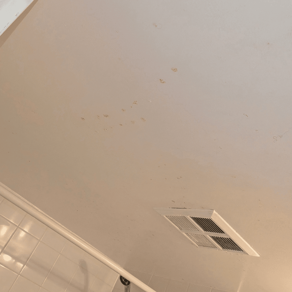 Wall being prepared before applying paint