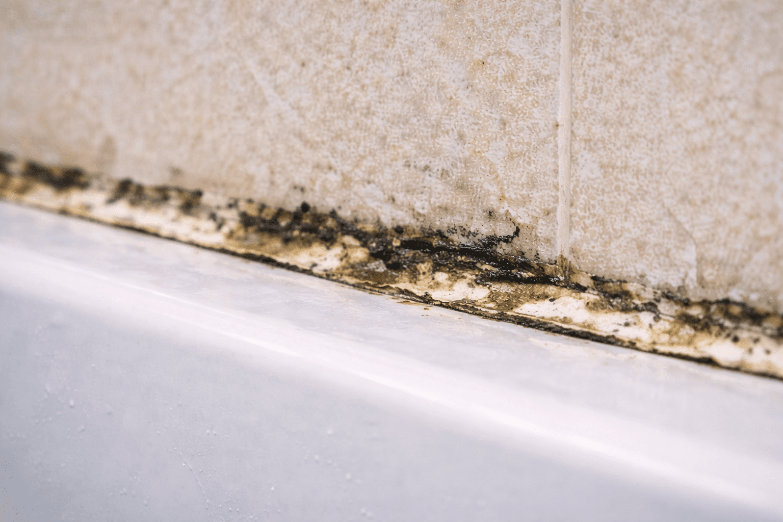 black mold growing in bathtub corner caulking in Toronto bathroom needing professional removal