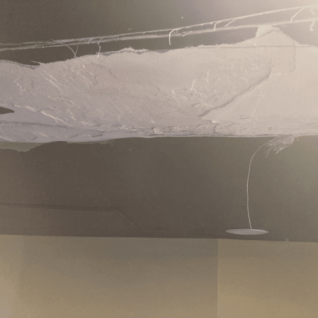 Fresh plaster being applied evenly on ceiling surface