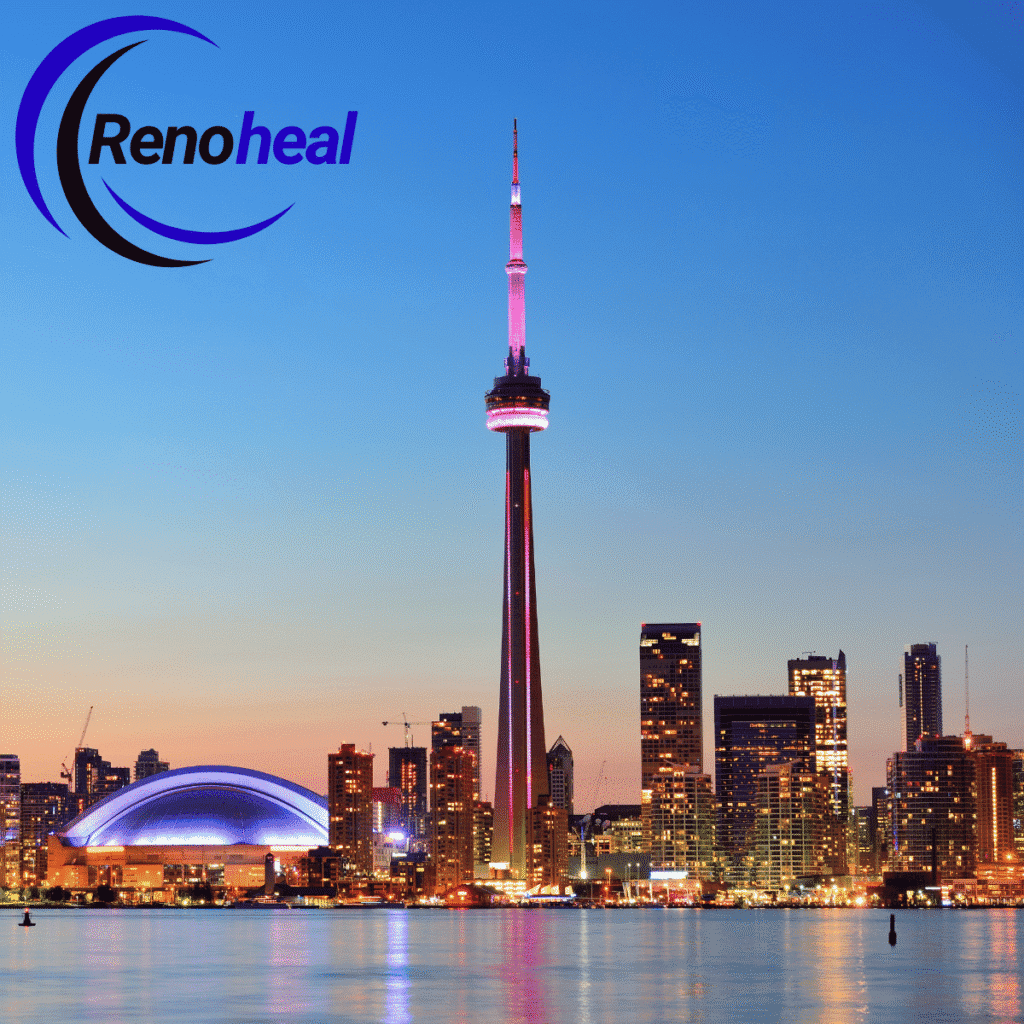 Handyman and renovation service coverage map for Toronto and Greater Toronto Area including North York, Vaughan, Markham, and Mississauga