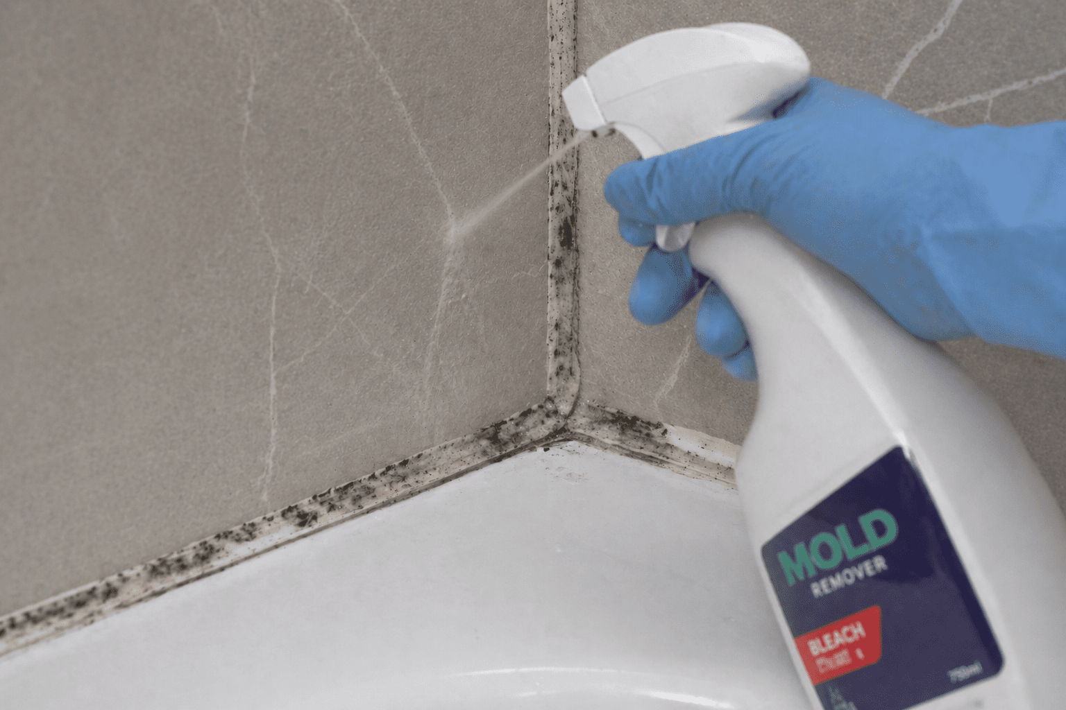 bathroom caulking mold treatment Richmond Hill