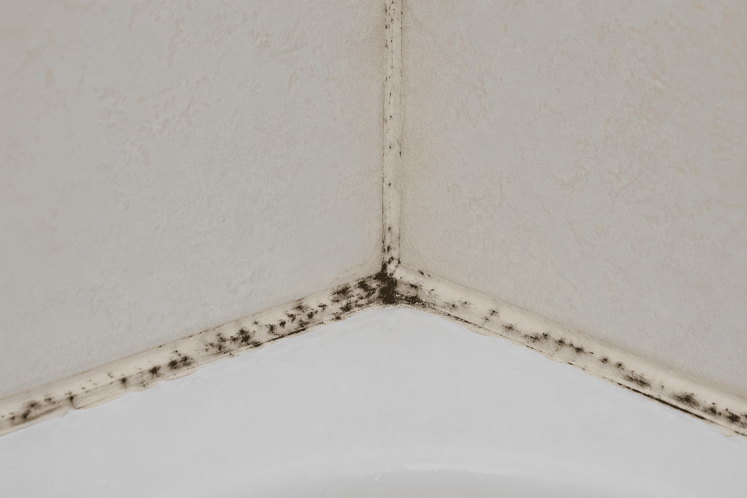 bathroom caulking Richmond Hill mold before repair