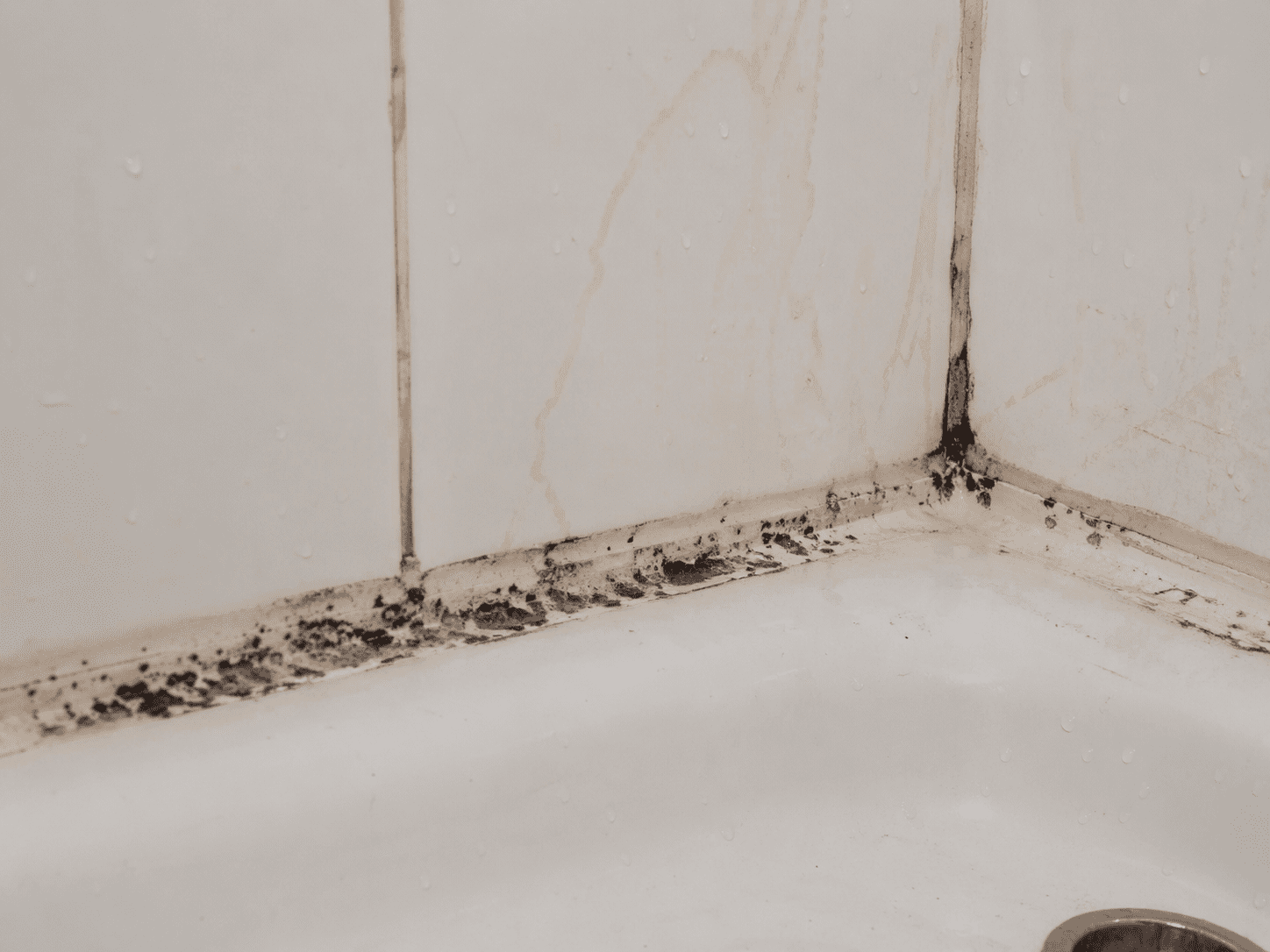 Mold growing on old bathroom caulking in a Toronto shower before professional removal