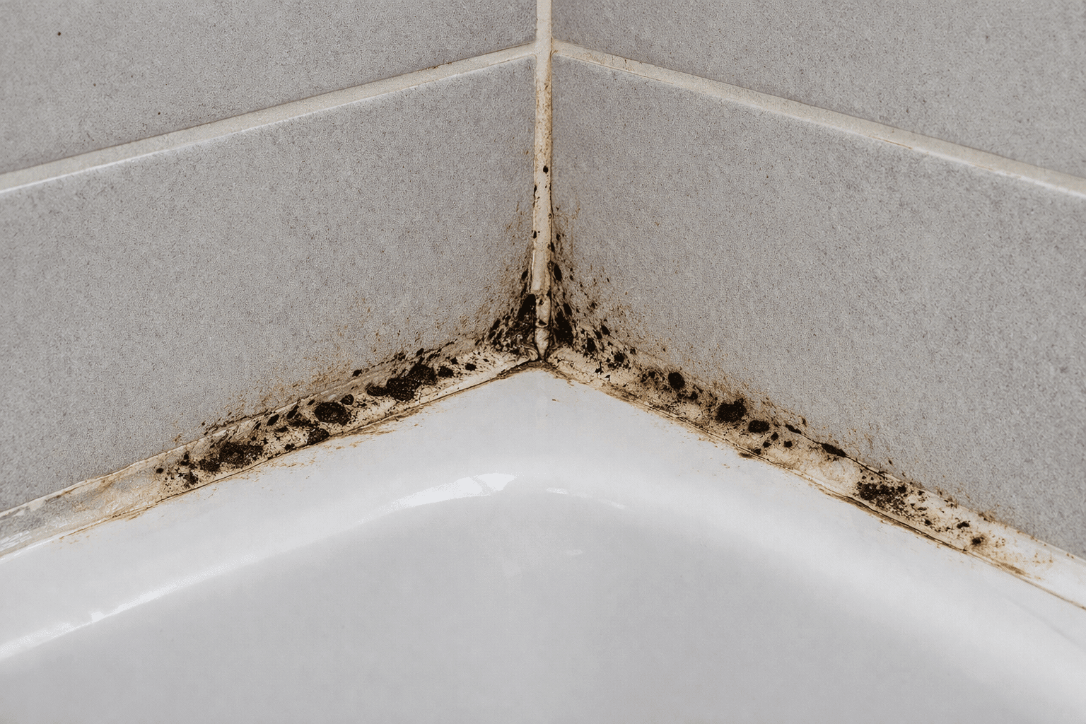 bathroom caulking Toronto black mold shower seal