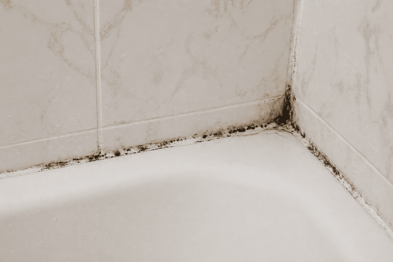 bathroom caulking Toronto mold problem shower edge