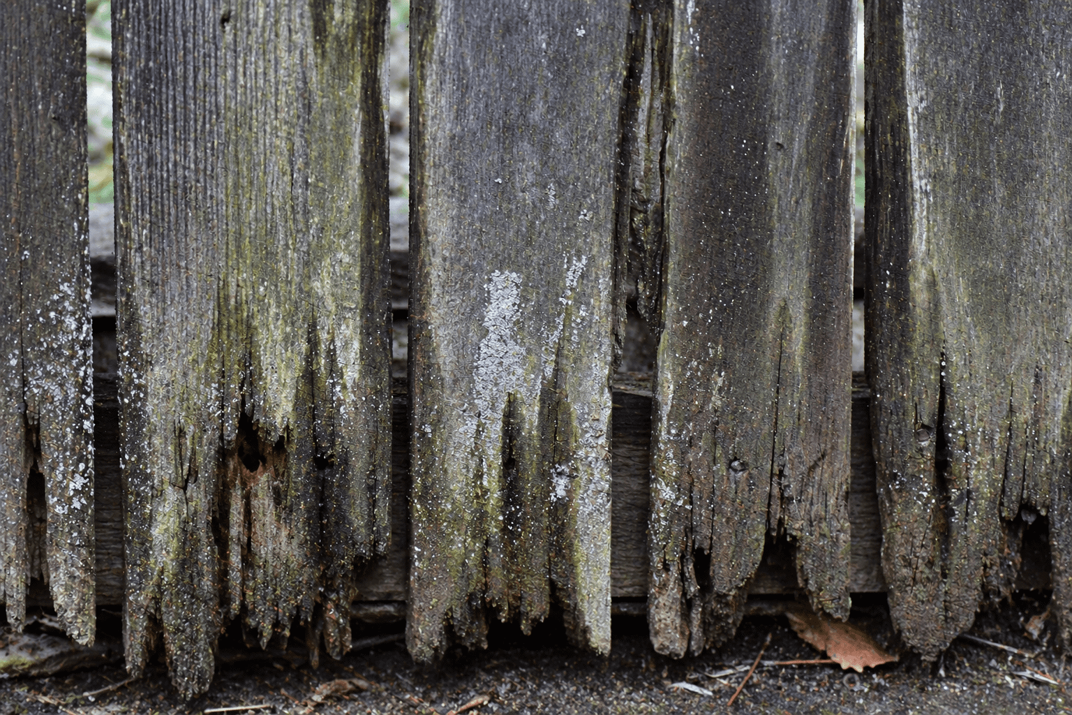 fence repair Toronto wood rot moisture damage