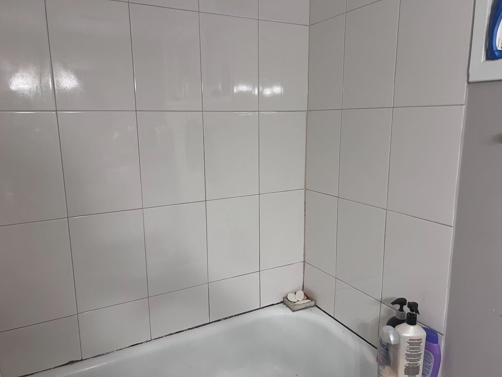 basement bathroom caulking Scarborough — RenoHeal project photo 1