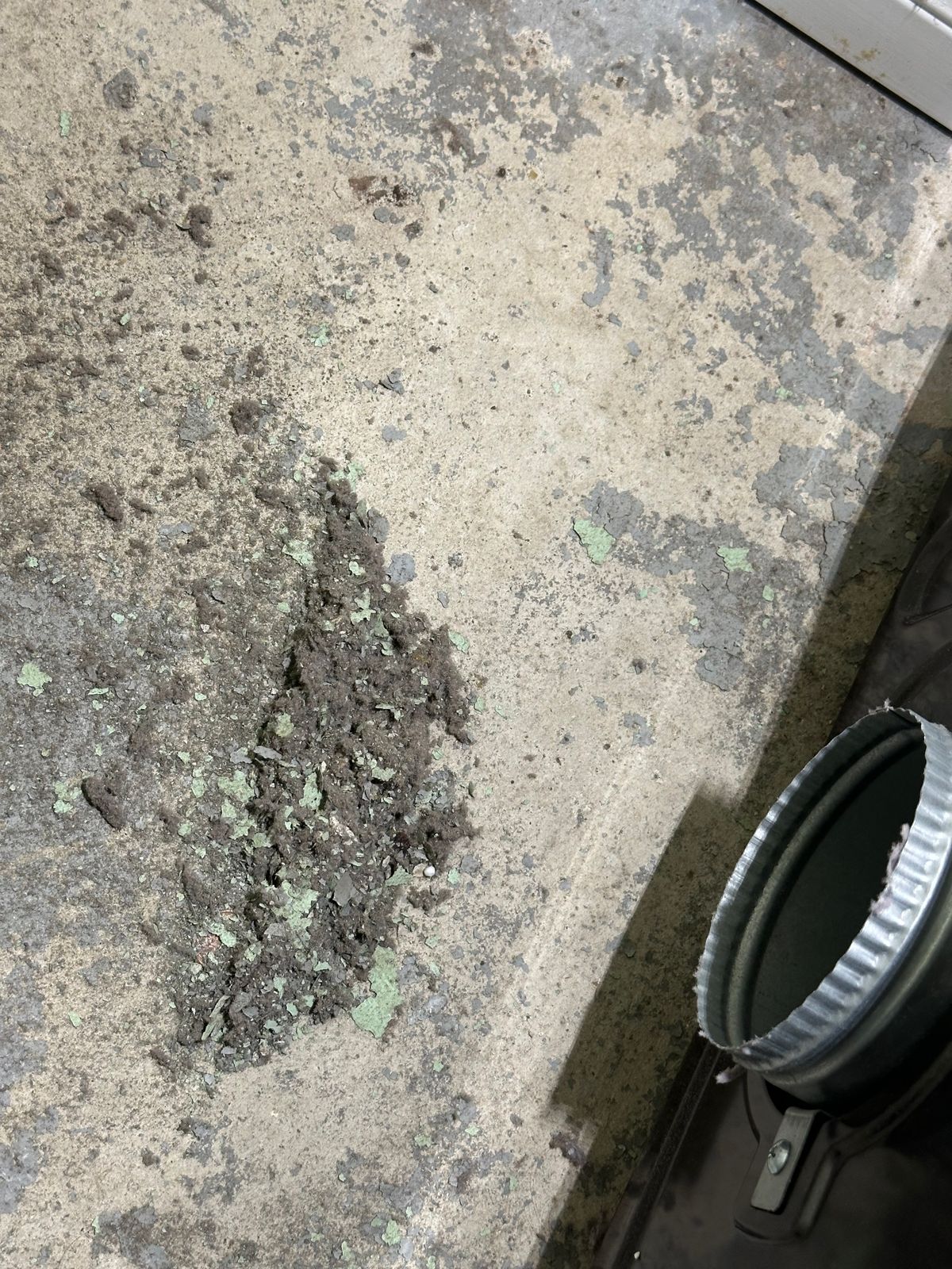 Bathroom fan cleaning in Toronto — dirty exhaust duct buildup