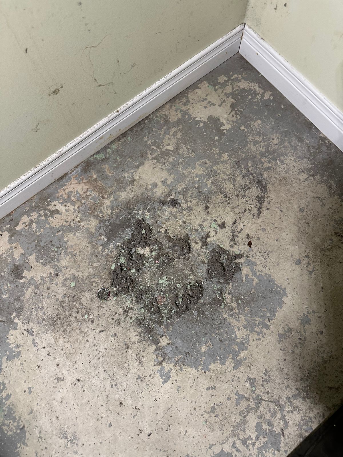 Bathroom fan cleaning in Toronto — grime on fan housing floor