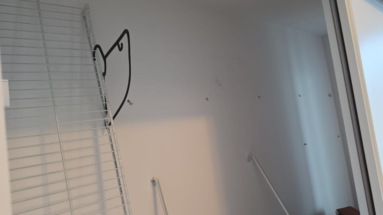 Closet shelving installation in Toronto — wire shelving mounted with hanging rod