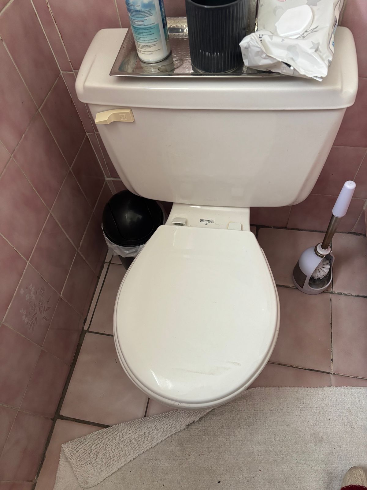 toilet installation North York — RenoHeal project photo 1