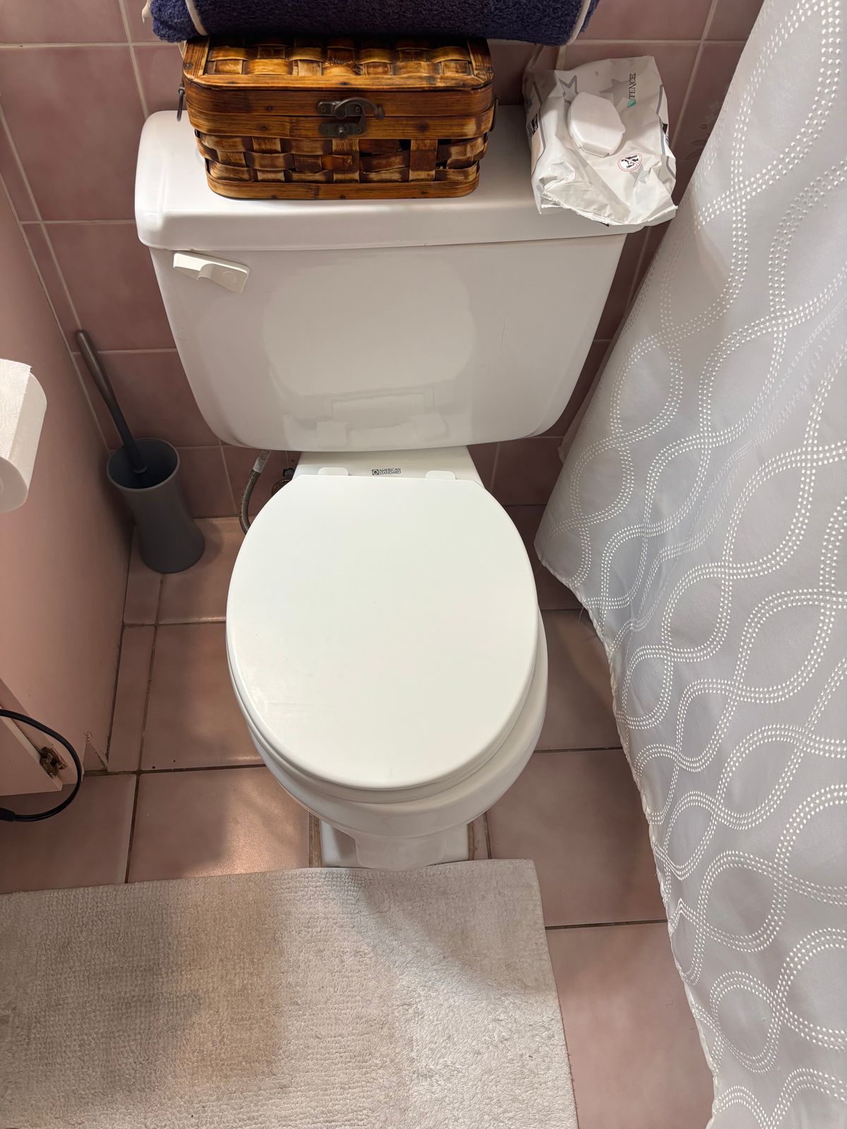 toilet installation North York — RenoHeal project photo 2