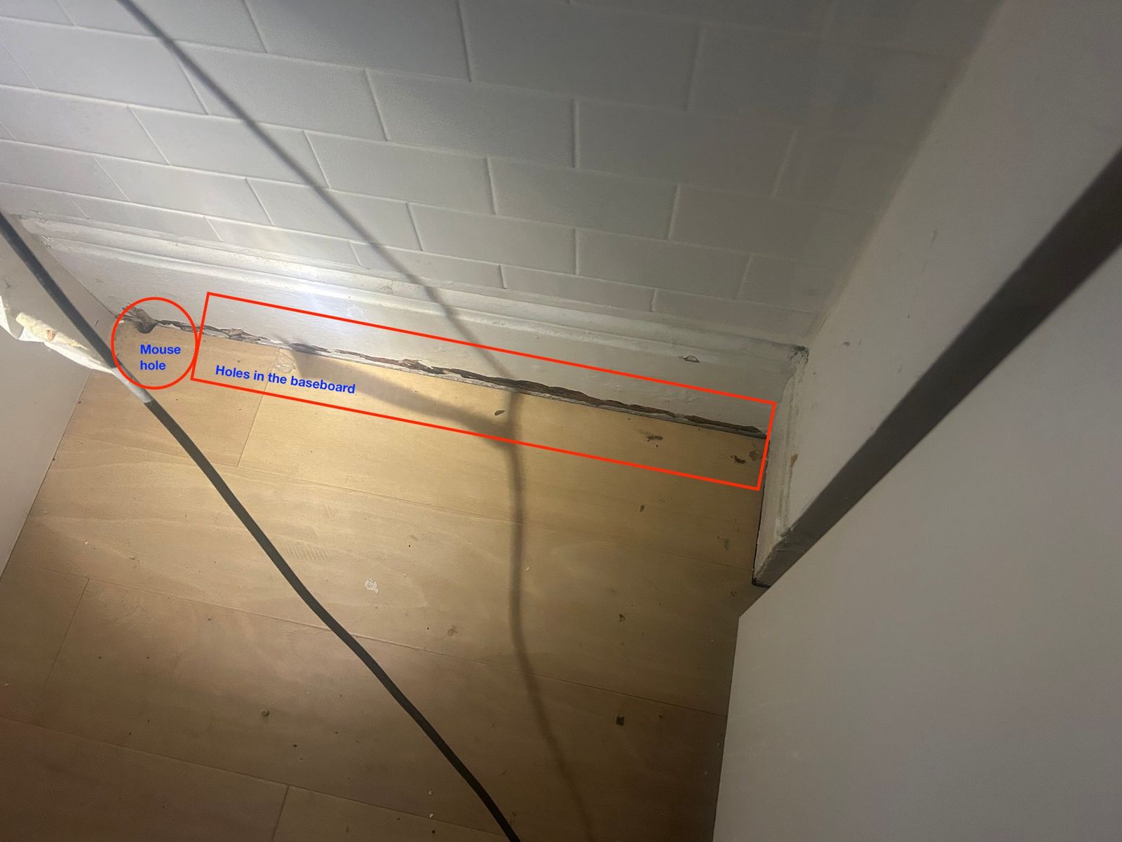 Gap along a basement wall where wiring enters, marked as a pest entry point