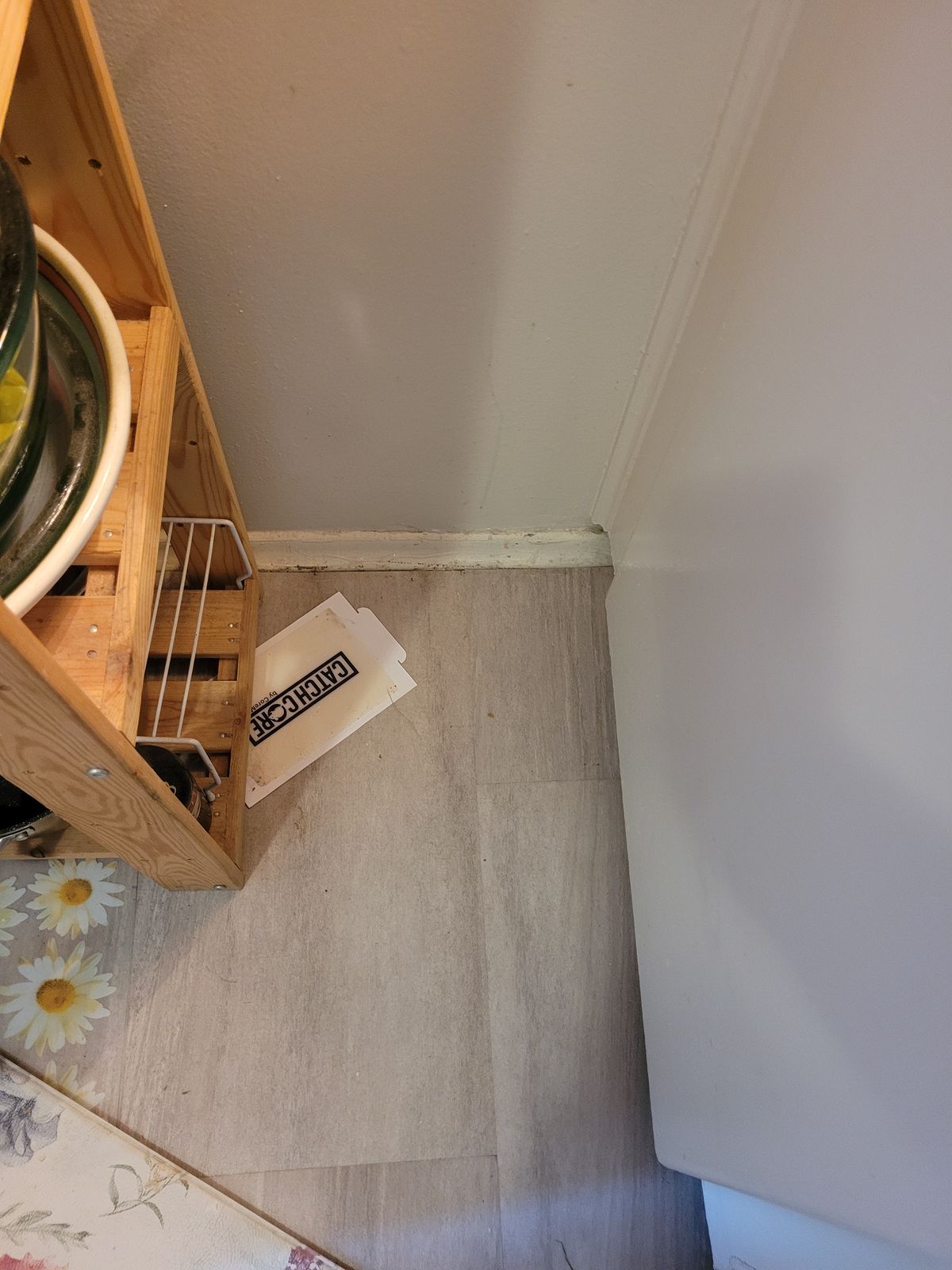 Gap along the baseboard beside a kitchen cabinet where cockroaches enter