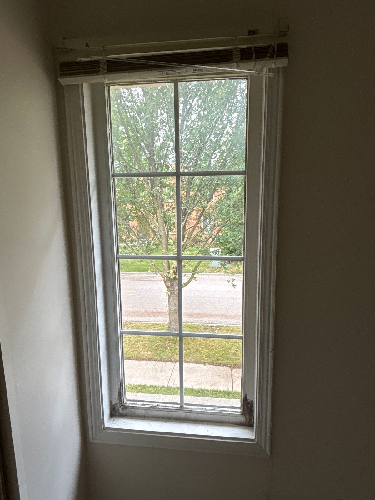 Interior window mold removal Richmond Hill – bedroom window frame with condensation damage