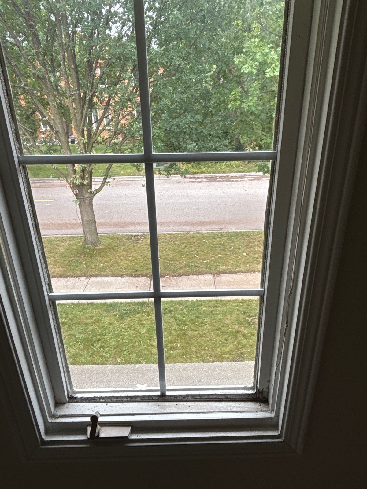 Interior window mold removal Richmond Hill – open window sash and frame inspected for mold