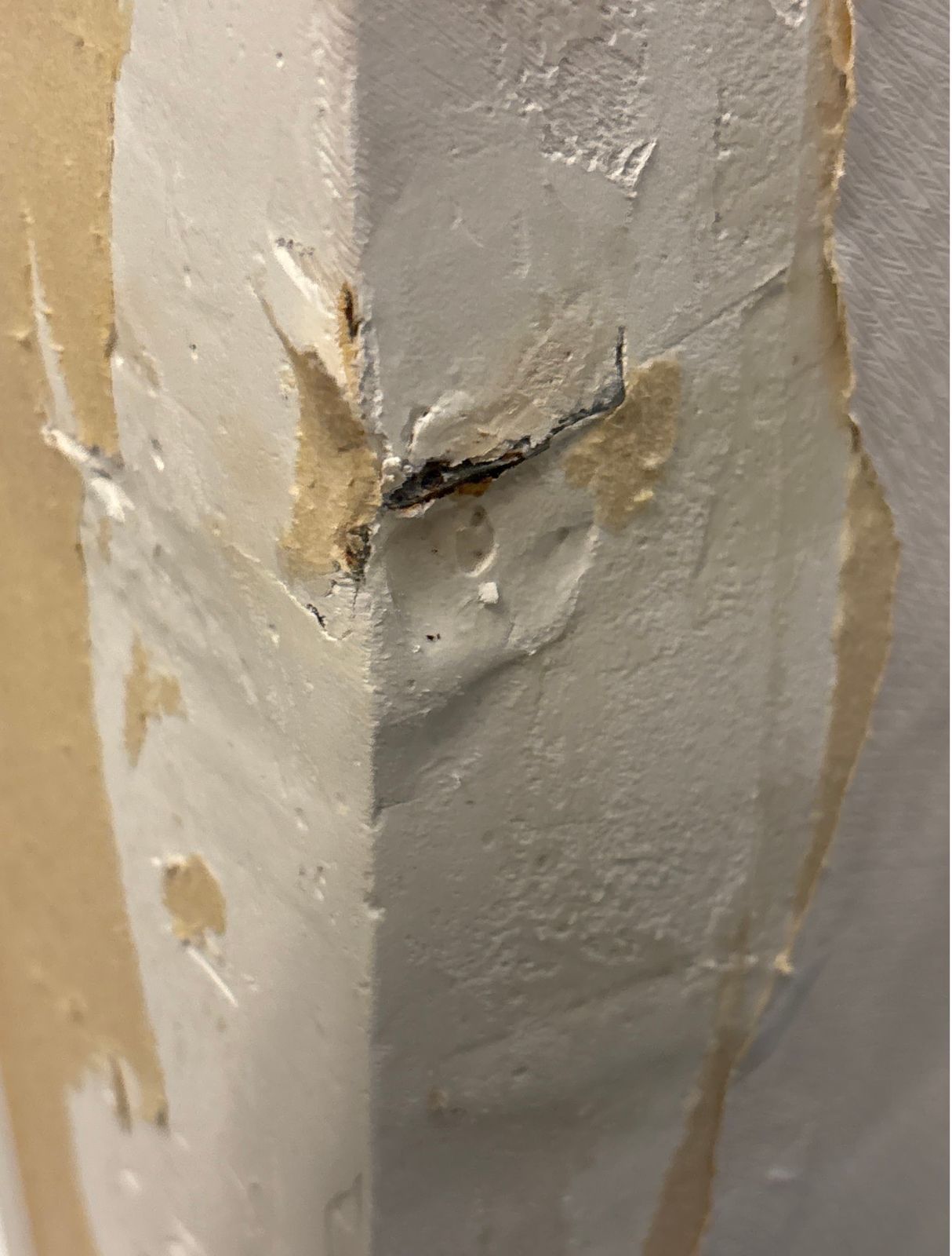 wall repair and wallpaper repair North York — RenoHeal project photo 2