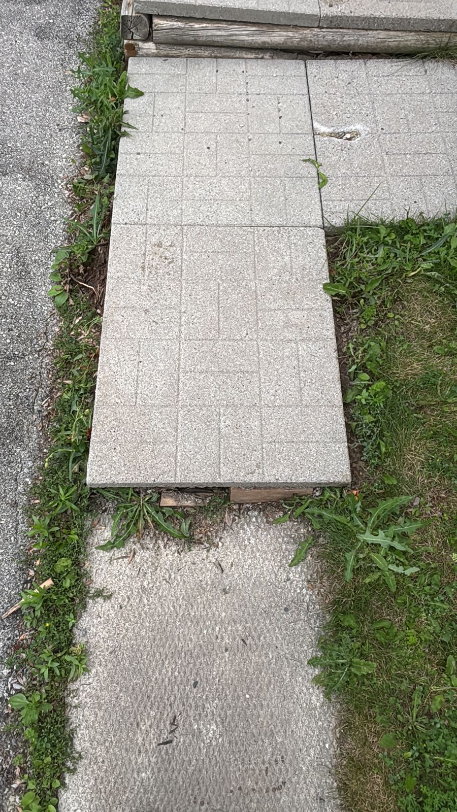 Loose interlock paver slab lifted for resetting during a Mississauga walkway repair